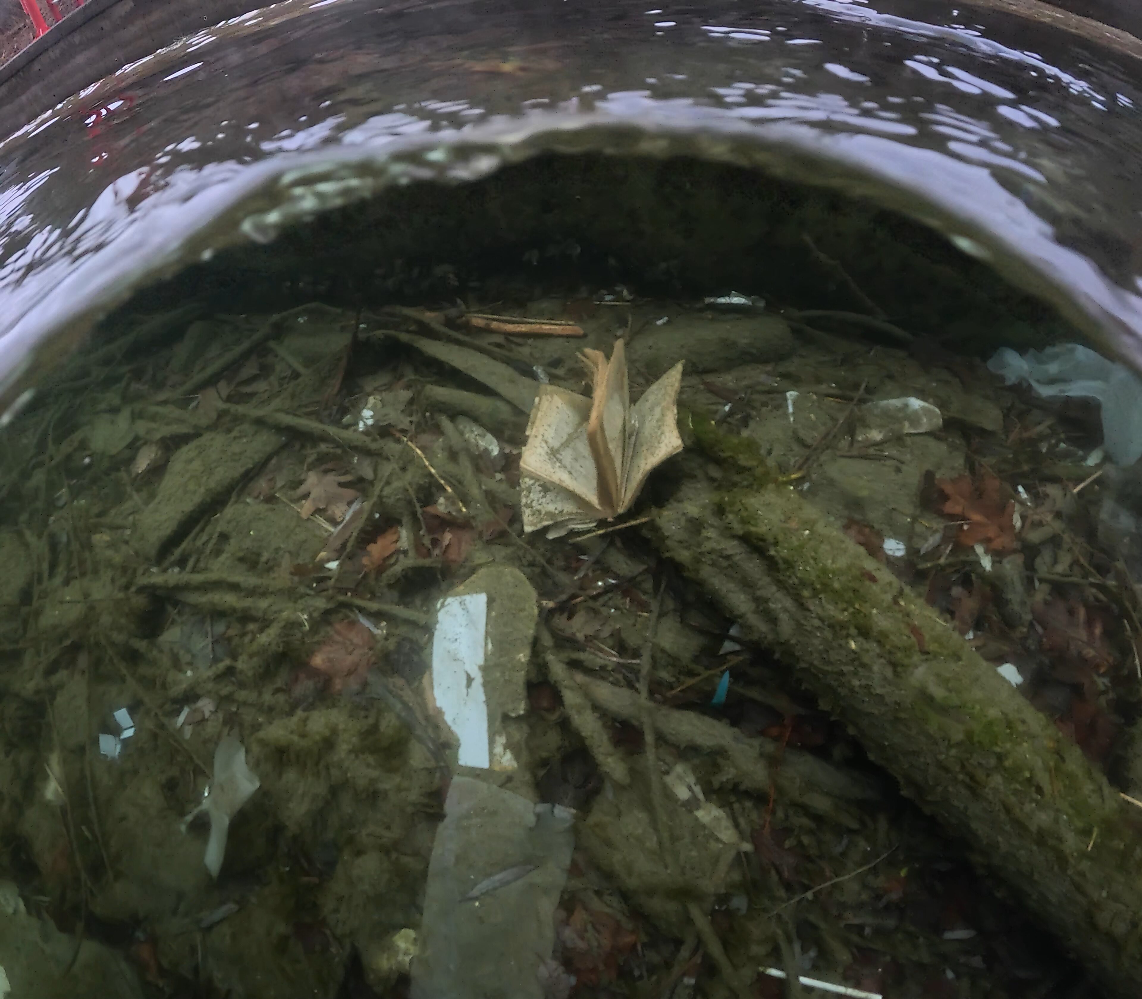 Basin Image 6