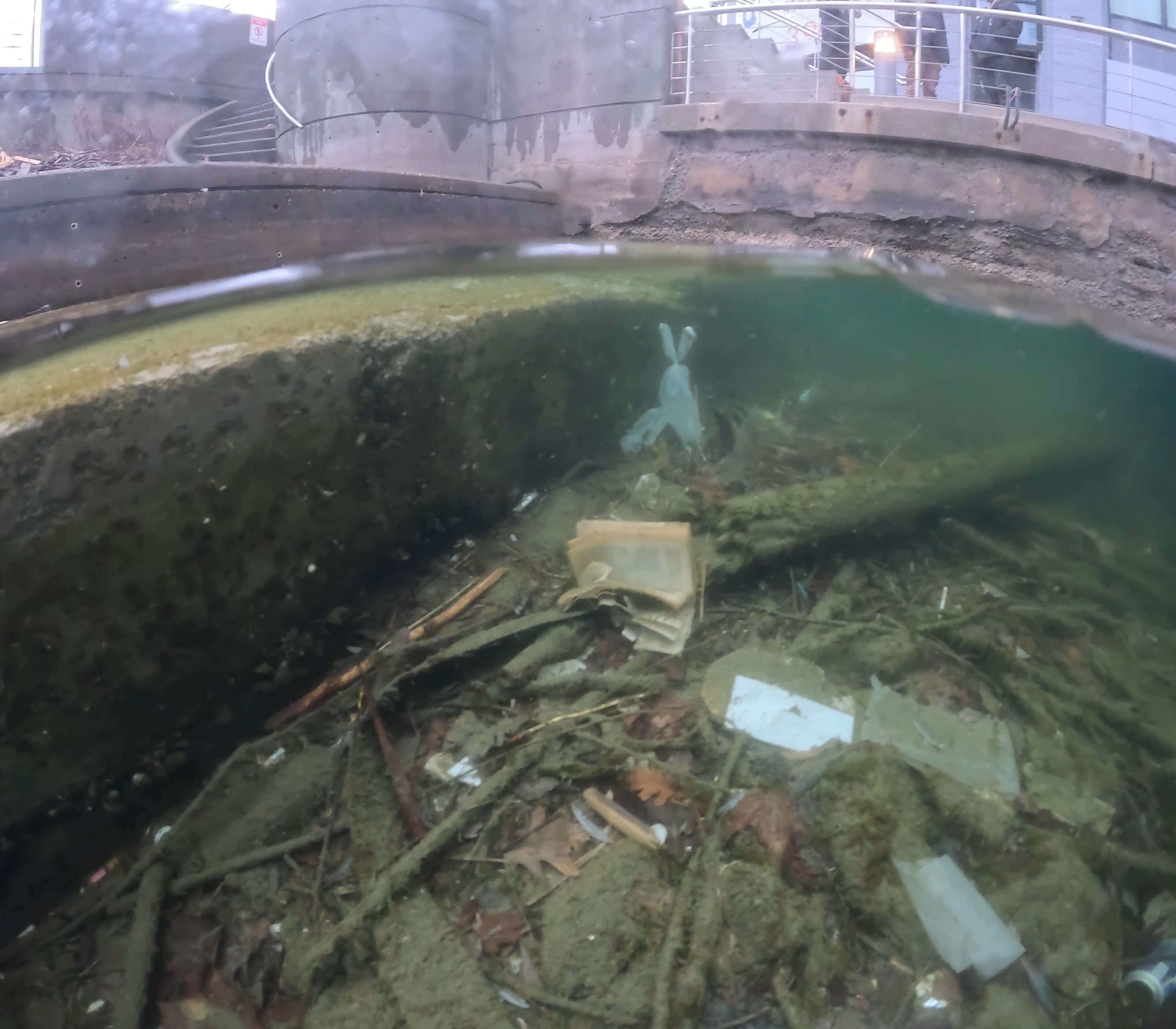 Basin Image 9