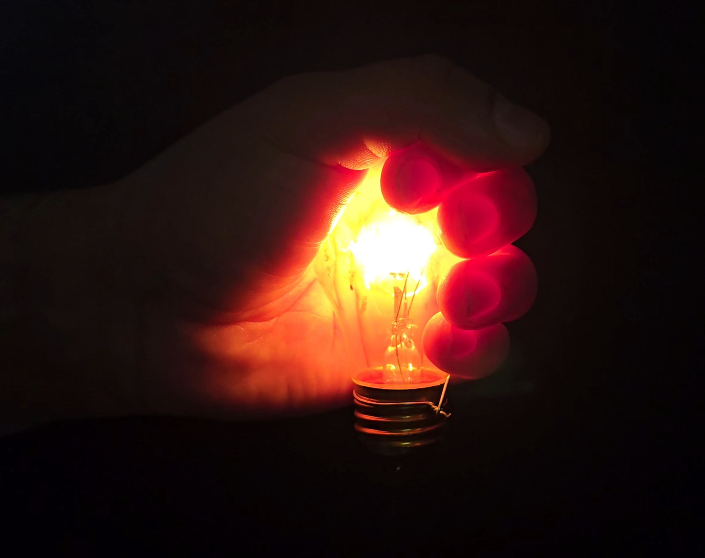 Lightbulb showing red light transmission